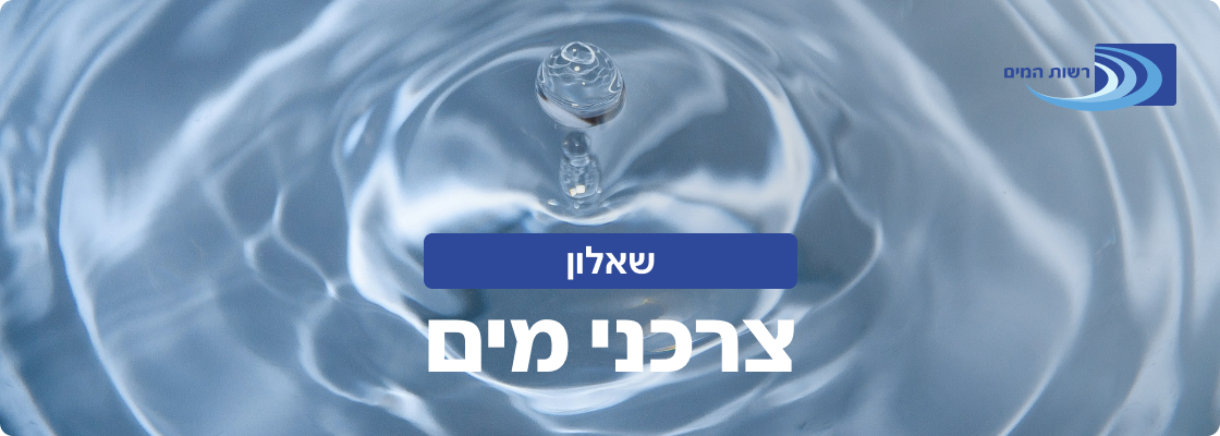 סקר שירות ארצי