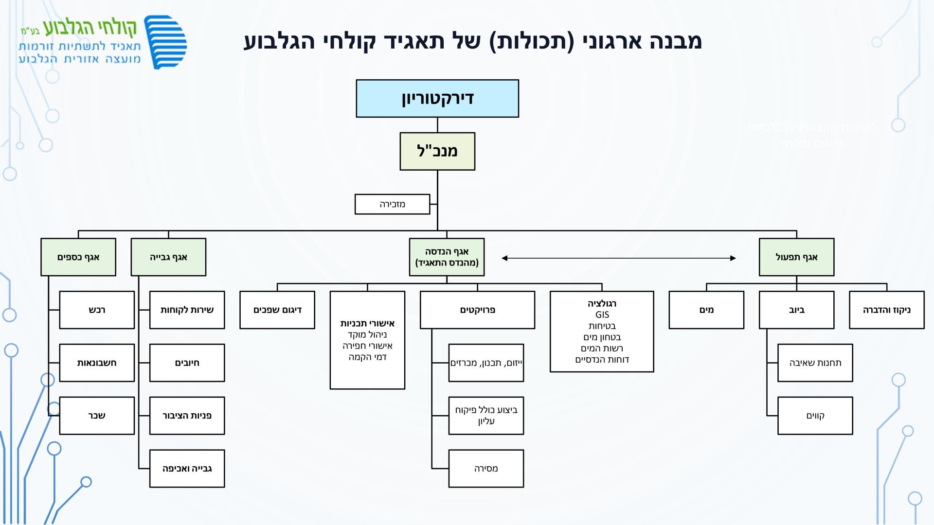 מבנה ארגוני