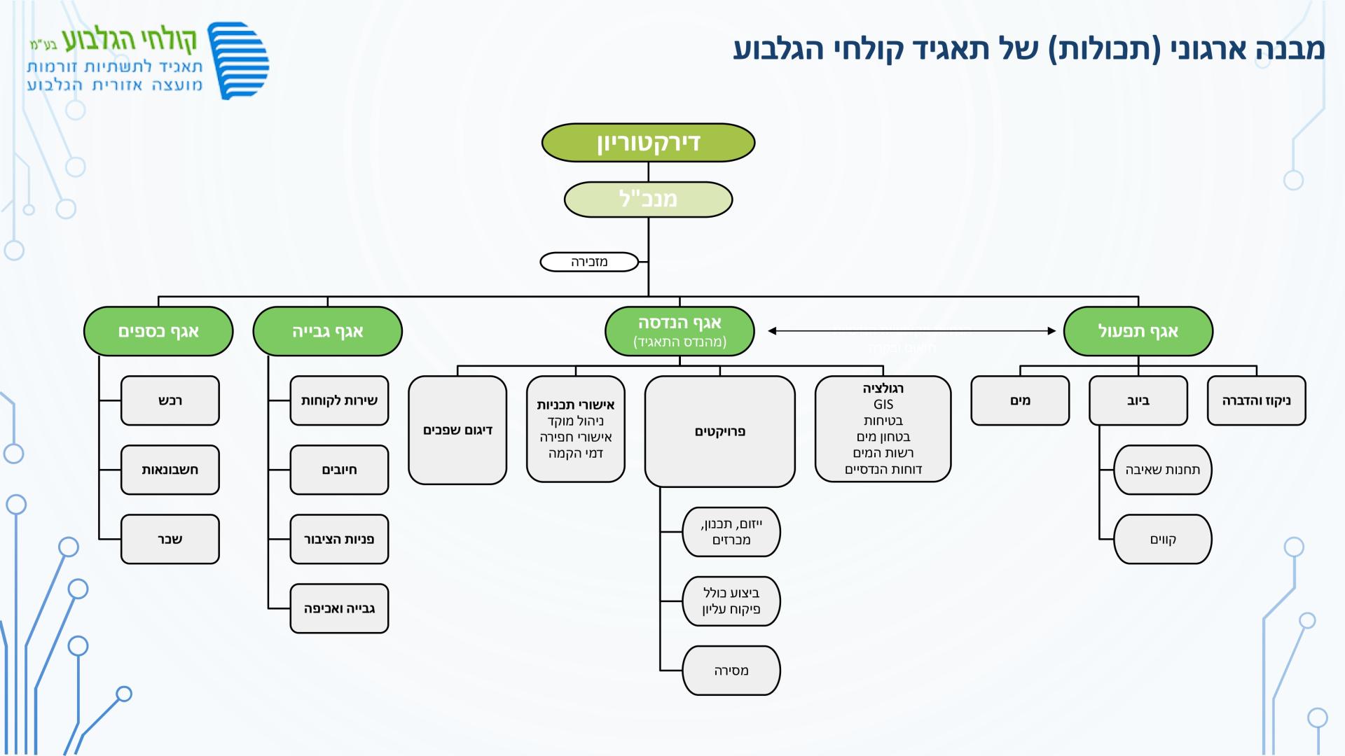 מבנה ארגוני