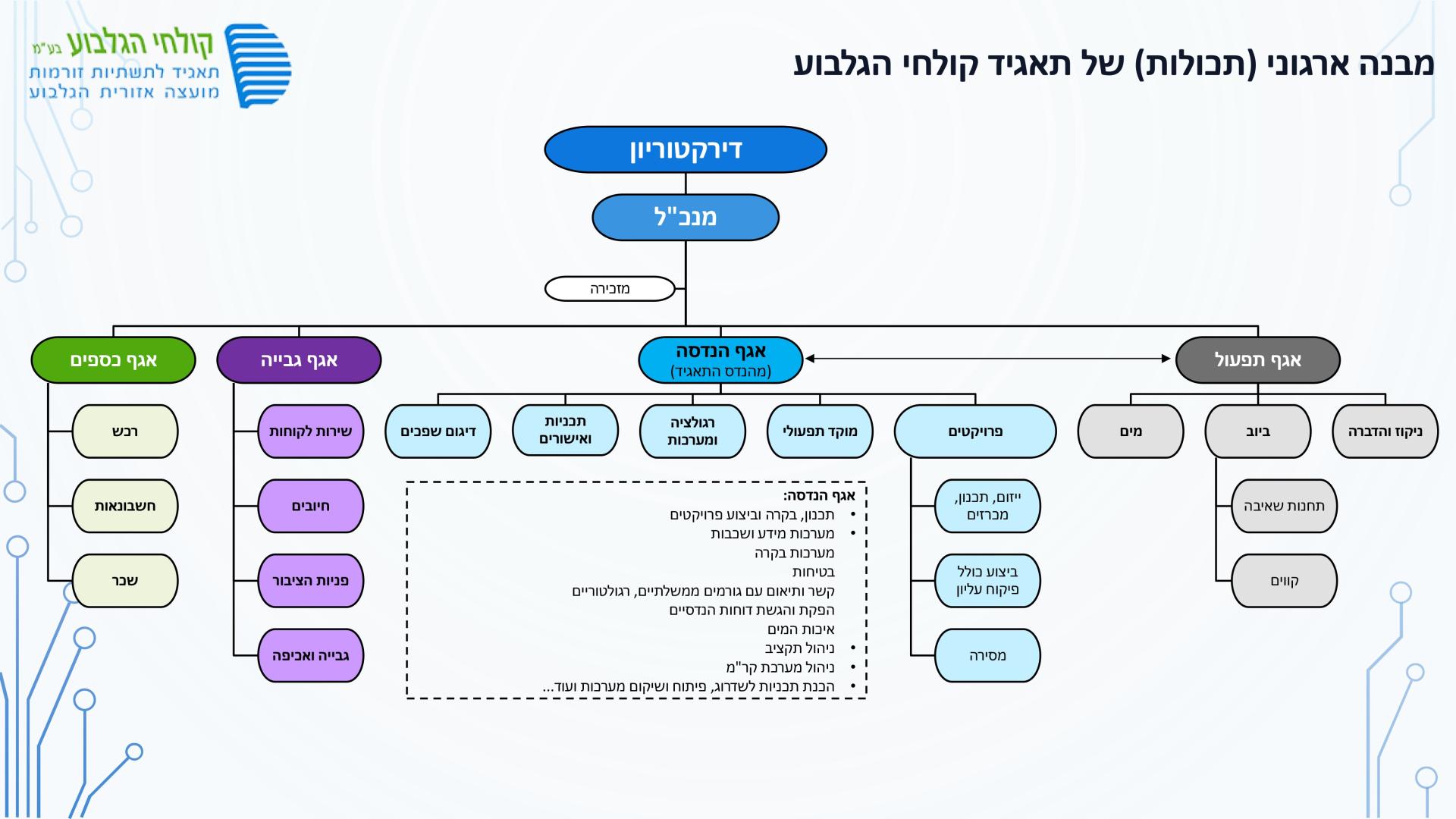 מבנה ארגוני